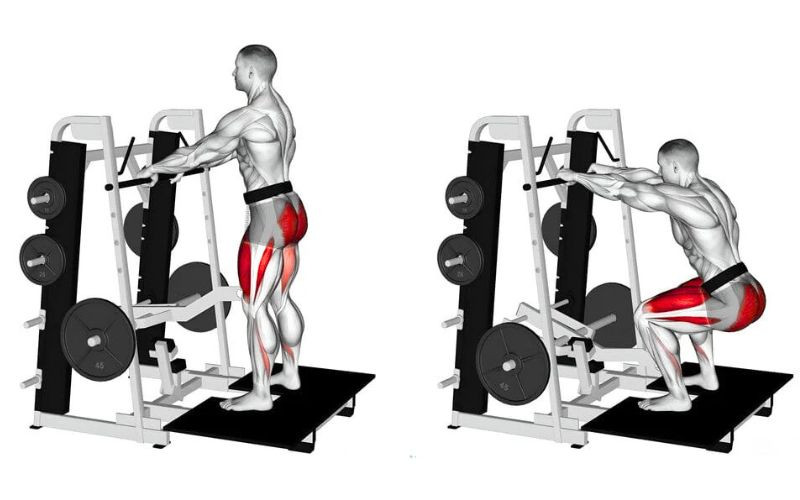 Why Your Gym Needs a Belt Squat Machine: Smarter Lower Body Training Without Spinal Load